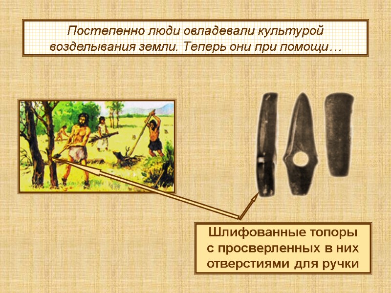 Постепенно люди овладевали культурой возделывания земли. Теперь они при помощи… Шлифованные топоры  с